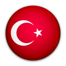 Türkçe